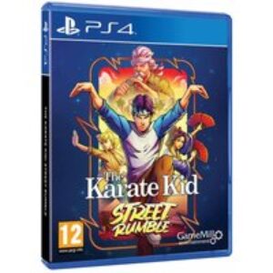 The Karate Kid Street Rumble – PlayStation 4